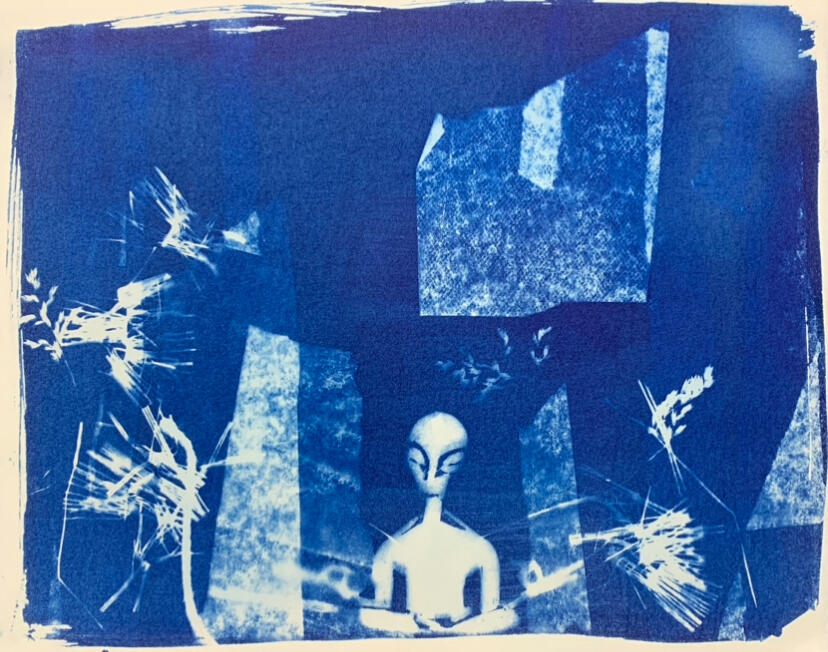 Very Zen, Cyanotype, 2022